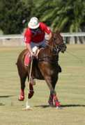 epsompoloclub.co.uk Chukkas