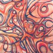 apollonova.com Ciborek