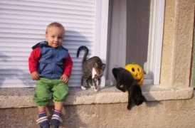 mimibazar.sk Ciciek