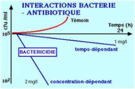 microbes-edu.org Cidie