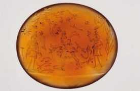 provincia.udine.it Cigoi