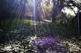 edmontonjournal.com Cihelka