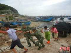 china.org.cn Cimaron