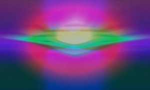 microscopegallery.com Ciontea