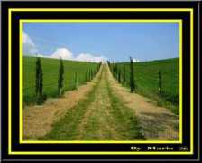 3province.net Cipresso