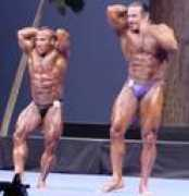 bodybuildingreviews.net Cironte