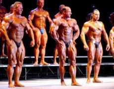 bodybuildingreviews.net Cironte