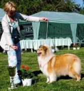 nyitramenti.hu Clansy