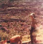 home.hiwaay.net Clearcut