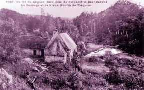 Cleuziou