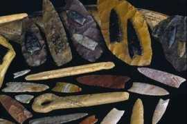 forte.delfi.ee Clovise