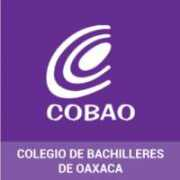 oaxaca.gob.mx Cobao