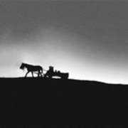 fotoblur.com Cocicodar