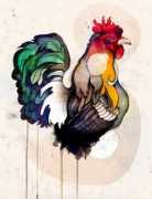 Cock