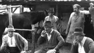 radupreda.ro Cocosila