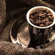 photoforum.ru Cogge