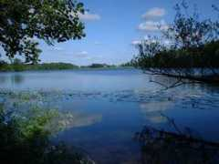 Colemere