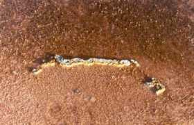 faculty.ucmerced.edu Coloney