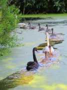 fotothing.com Colwick