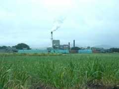 panoramio.com Condong