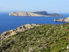 panoramio.com Conejera