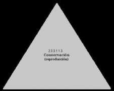 Conservacion