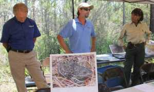 photos.gulflive.com Conservancy