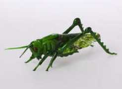 stylendesign.com Constantini