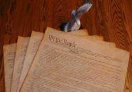 petcaretips.net Consti