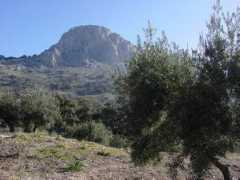 panoramio.com Cordobesa