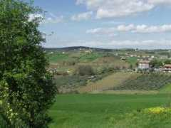 panoramio.com Coriano