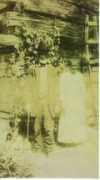 greatdreams.com Cornelious