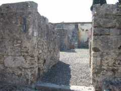 Cosii