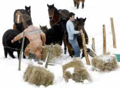 blogs.eldiariomontanes.es Costana