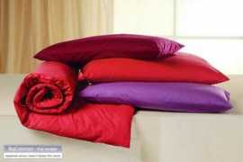 puredirect.ch Cotonea