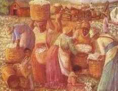 blackstate.com Cottonfield