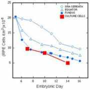 molvis.org Coulombre