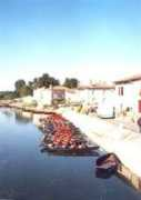 lesjincheres.com Coulon