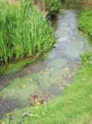 milly-la-foret.fr Courseau