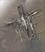 pbsfineart.free.fr Croiseau