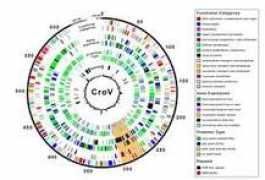 zmescience.com Crov