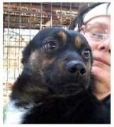 gallery.site.hu Csicso