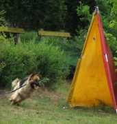 gallery.site.hu Csukardi