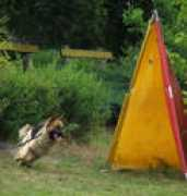 gallery.site.hu Csukardi