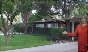 biggolddog.com Ctina