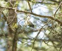 hows.org.uk Ctit