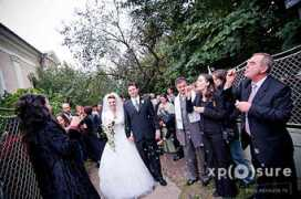 blog.xposure.ro Curtici