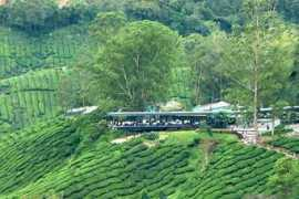 backpackingmalaysia.com Curtney
