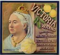 Cvictoria