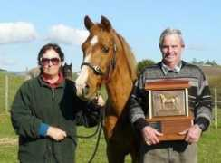 news.endurance.net Cyden